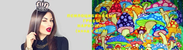 первитин Новозыбков