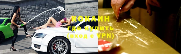 PSILOCYBIN Тутаев