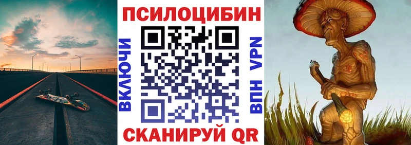 дарнет шоп  kraken онион  Галлюциногенные грибы Cubensis  Александров 