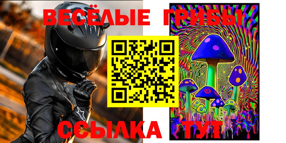 Галлюциногенные грибы прущие грибы  Александров 