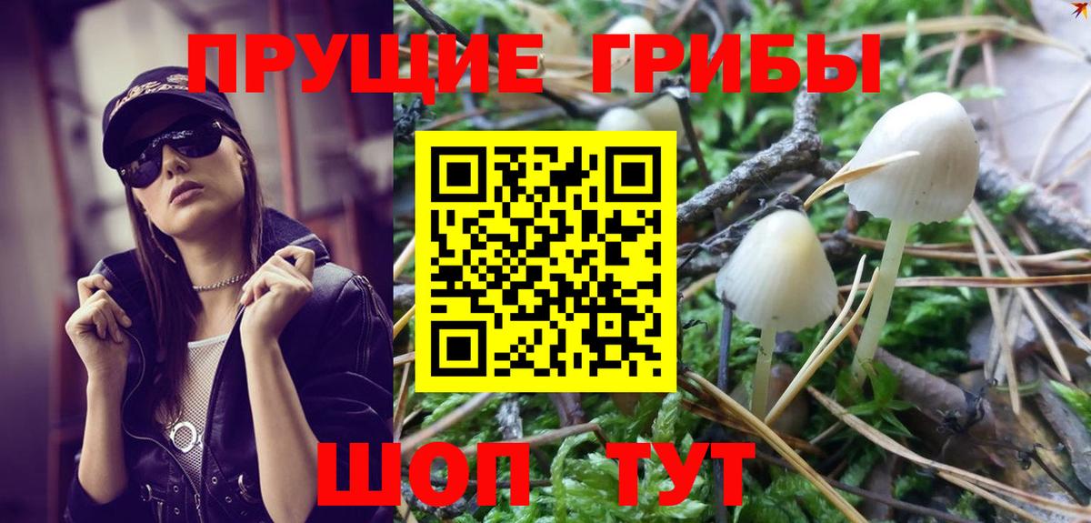 Галлюциногенные грибы Psilocybe  Вход с VPN  Псилоцибиновые грибы Cubensis  даркнет сайт  Александров 