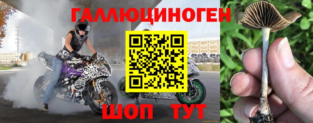 Галлюциногенные грибы MAGIC MUSHROOMS  Вход с VPN  Александров 