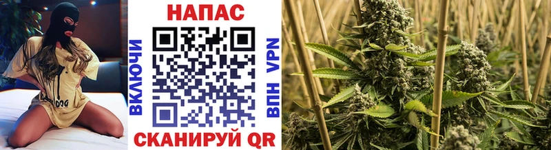 Канабис SATIVA & INDICA  Александров 